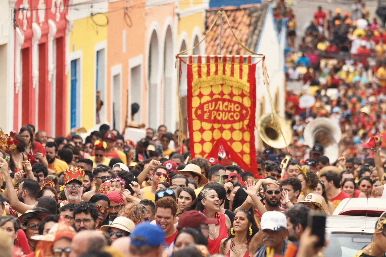 Estandarte do Eu Acho É Pouco no meio dos foliões em Olinda